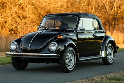 1979 Volkswagen Beetle-Classic Epilogue Edition   - Photo 1 - Rockville, MD 20850