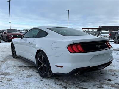2018 Ford Mustang EcoBoost   - Photo 5 - St Albert, AB T8N 3Z7