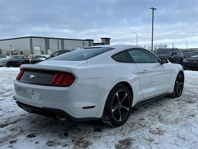 2018 Ford Mustang EcoBoost   - Photo 7 - St Albert, AB T8N 3Z7
