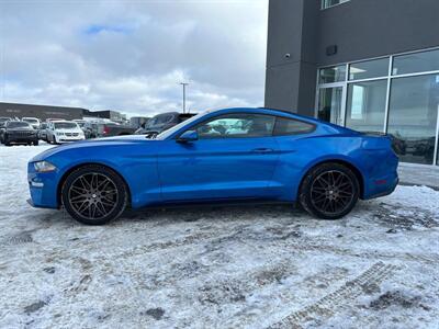 2019 Ford Mustang EcoBoost   - Photo 4 - St Albert, AB T8N 3Z7