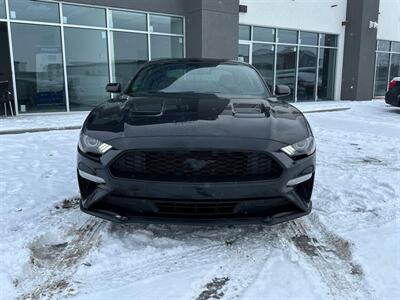 2018 Ford Mustang EcoBoost   - Photo 3 - St Albert, AB T8N 3Z7