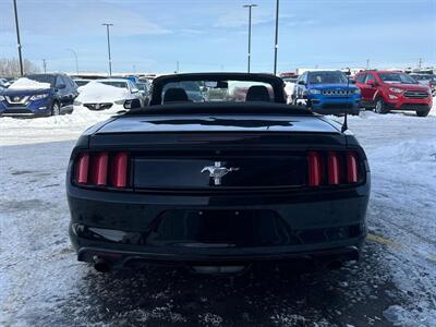 2016 Ford Mustang V6  Convertible - Photo 6 - St Albert, AB T8N 3Z7
