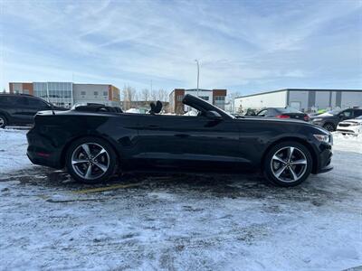 2016 Ford Mustang V6  Convertible - Photo 9 - St Albert, AB T8N 3Z7