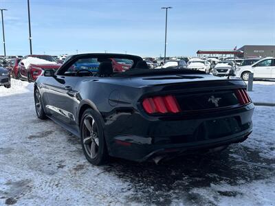 2016 Ford Mustang V6  Convertible - Photo 5 - St Albert, AB T8N 3Z7