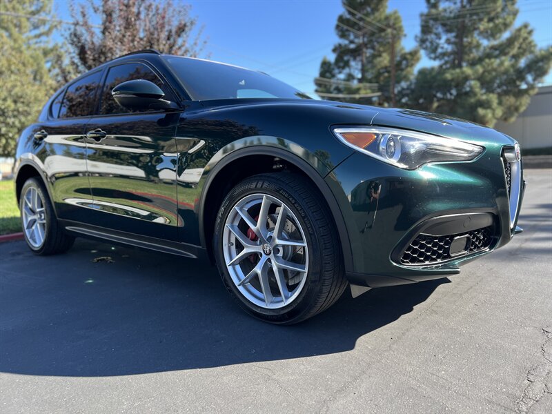 2019-Alfa Romeo-Stelvio-ZASPAKBN1K7C40756