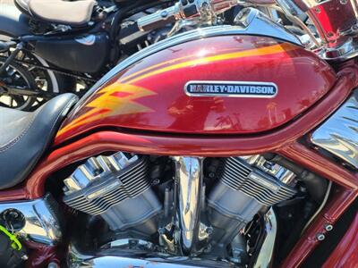 2005 Harley-Davidson® VRSCSE - Screamin   - Photo 3 - Palm Bay, FL 32905