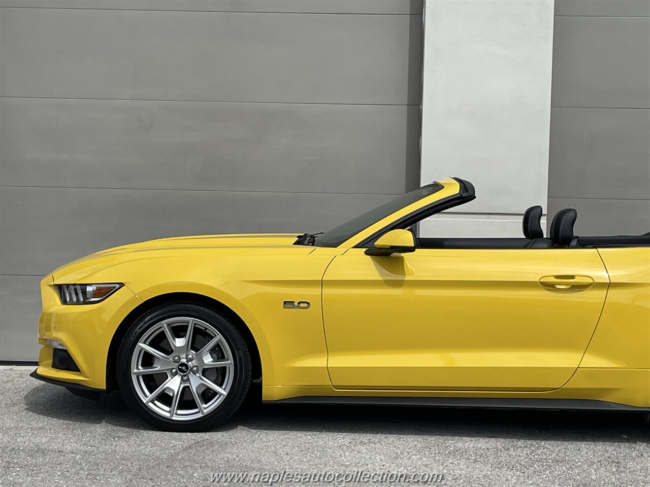 2015 Ford Mustang GT Premium   - Photo 24 - Fort Myers, FL 33967