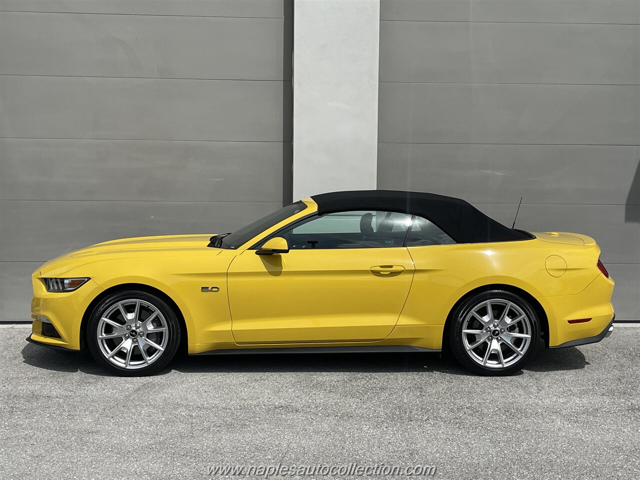 2015 Ford Mustang GT Premium   - Photo 19 - Fort Myers, FL 33967