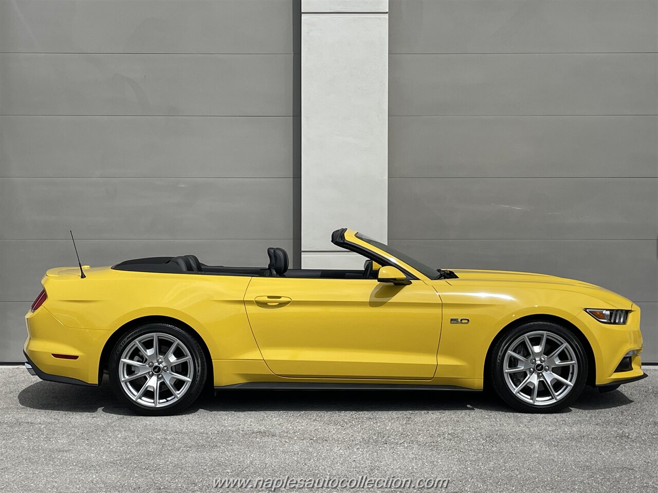 2015 Ford Mustang GT Premium   - Photo 6 - Fort Myers, FL 33967
