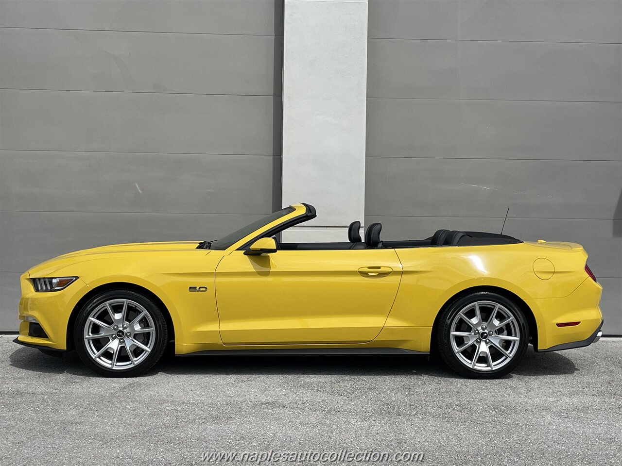 2015 Ford Mustang GT Premium   - Photo 3 - Fort Myers, FL 33967