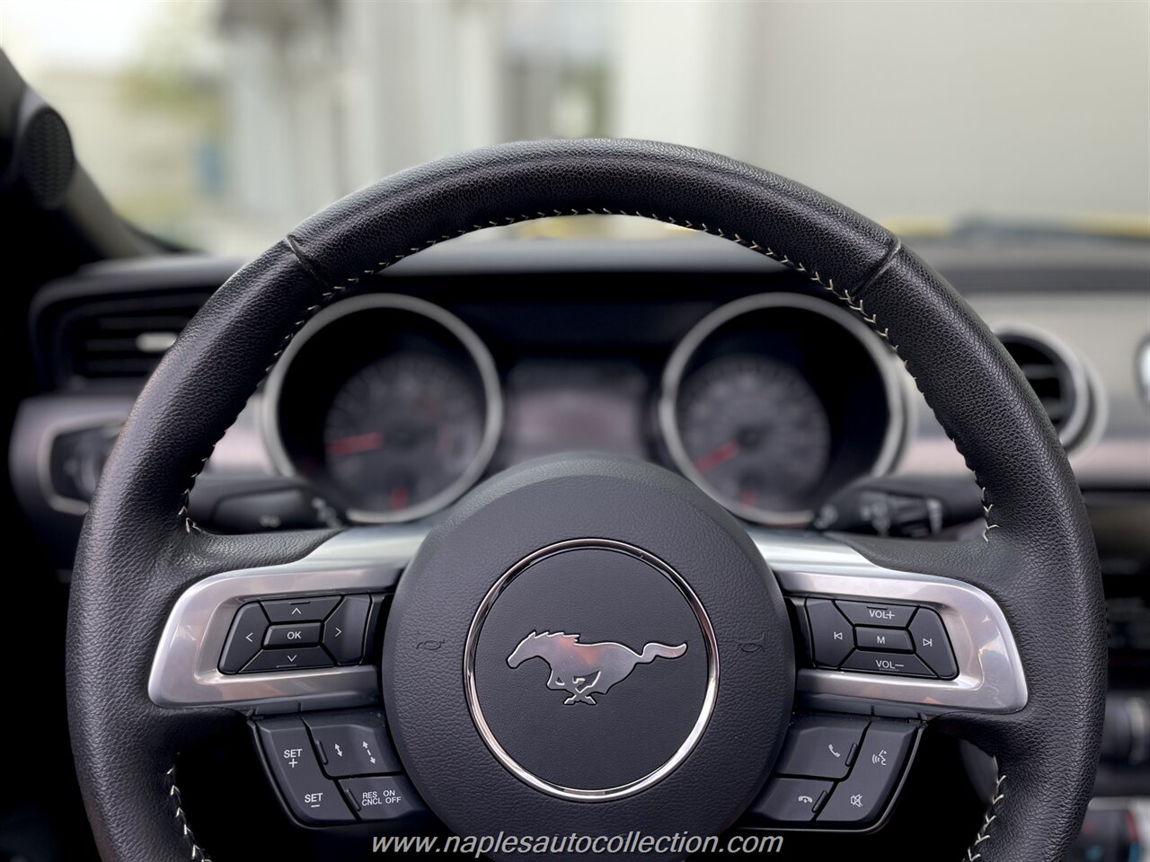 2015 Ford Mustang GT Premium   - Photo 11 - Fort Myers, FL 33967