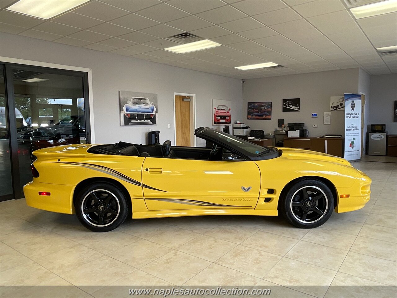 2002 Pontiac Firebird Trans Am  Collectors Edition - Photo 5 - Fort Myers, FL 33967