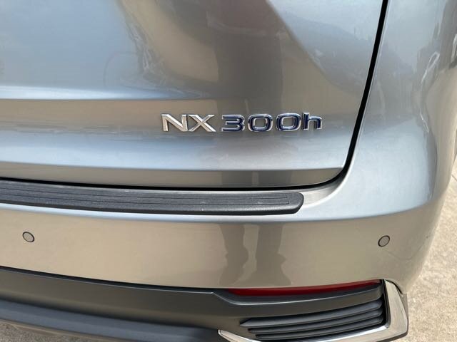 2021 Lexus NX 300h  photo