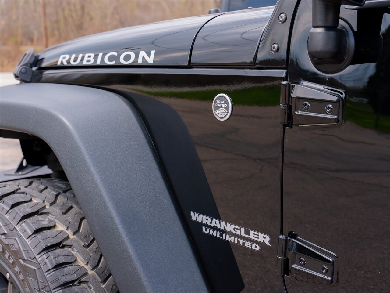 2016 Jeep Wrangler Unlimited Rubicon   - Photo 11 - Washington, MI 48094