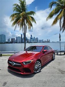2019 Mercedes-Benz CLS CLS 450   - Photo 10 - Miami, FL 33147