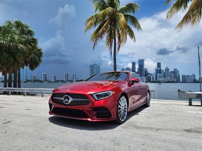 2019 Mercedes-Benz CLS CLS 450   - Photo 20 - Miami, FL 33147