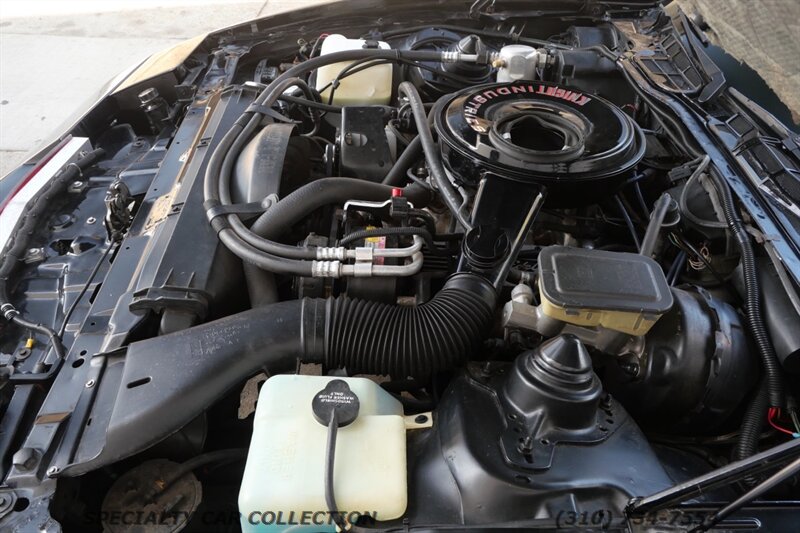 1982 Pontiac Firebird Trans Am   - Photo 36 - West Hollywood, CA 90069