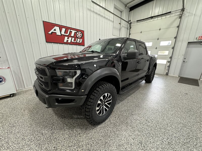 2019 Ford F-150 Raptor   - Photo 2 - Rochelle, IL 61068