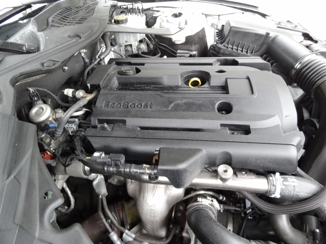 2019 Ford Mustang EcoBoost Premium - Photo 29 - Deland, FL 32720