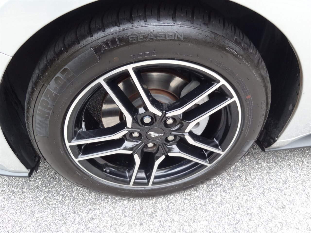 2019 Ford Mustang EcoBoost Premium - Photo 30 - Deland, FL 32720