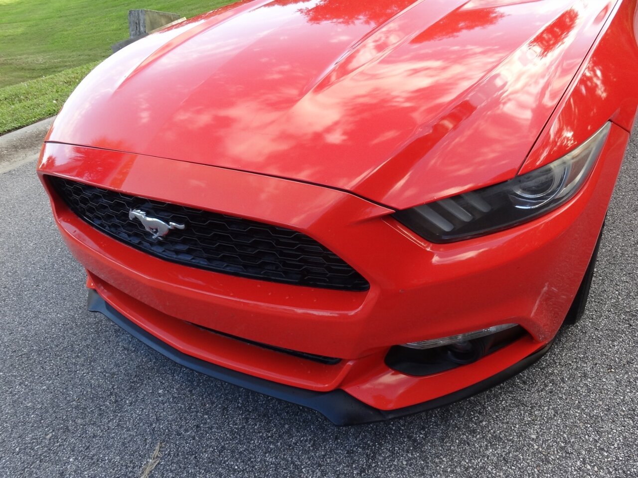 2016 Ford Mustang EcoBoost Premium   - Photo 11 - Deland, FL 32720