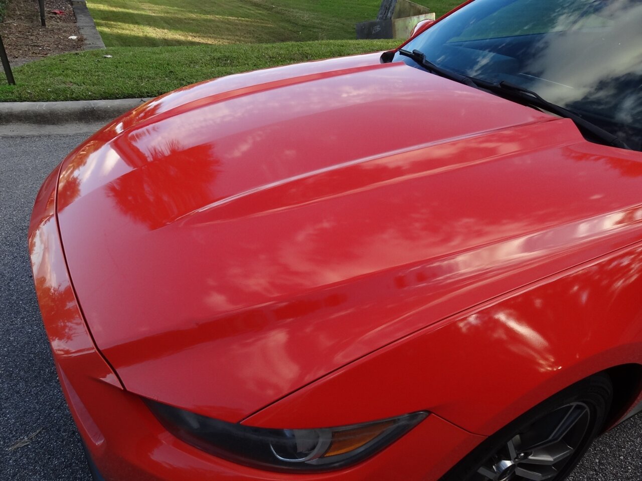 2016 Ford Mustang EcoBoost Premium   - Photo 19 - Deland, FL 32720