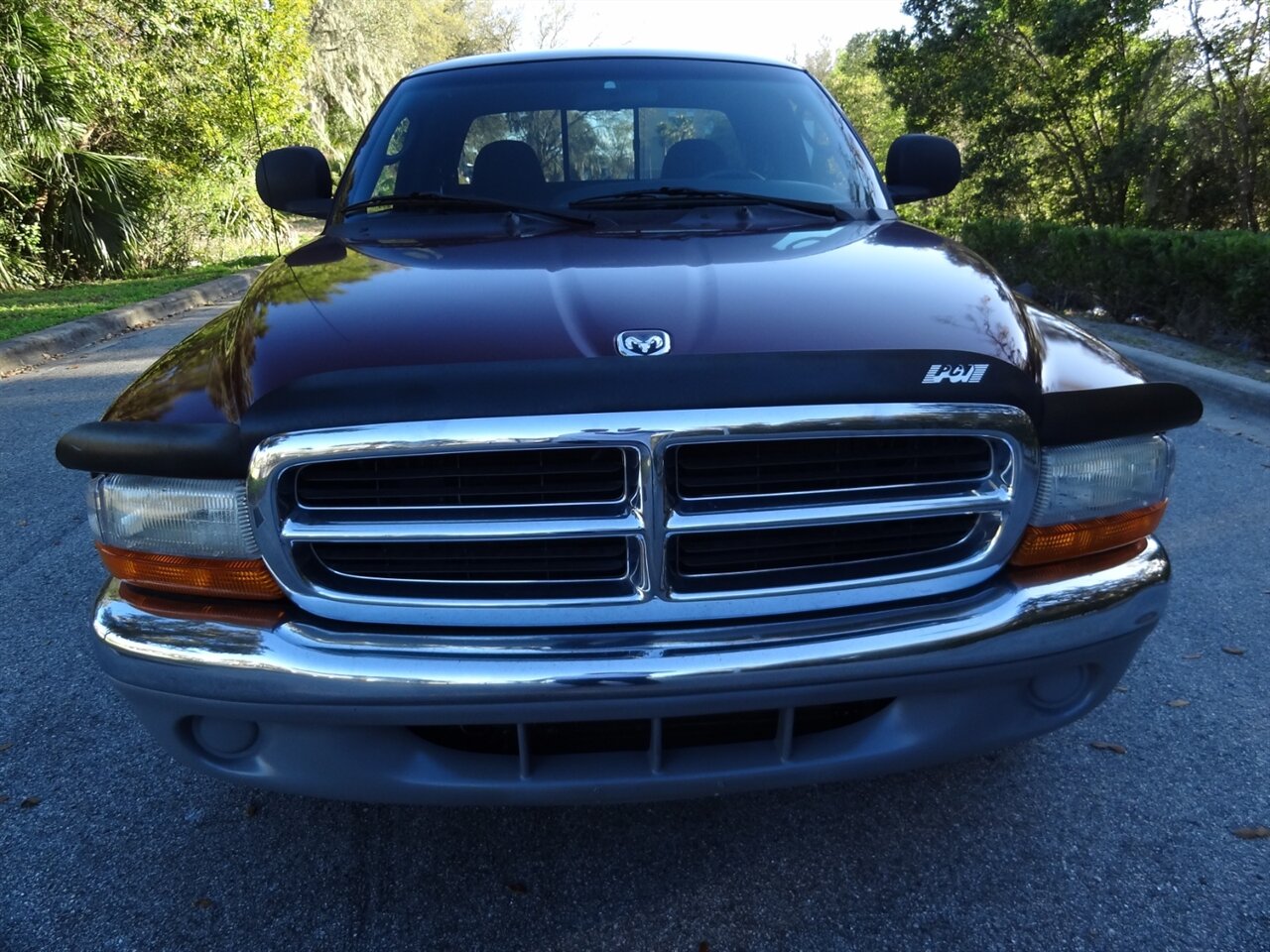 2000 Dodge Dakota SLT - Photo 5 - Deland, FL 32720