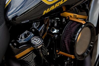 2022 Harley-Davidson Custom CUSTOM ROAD GLIDE  GOLD MEMBER - Photo 15 - Orlando, FL 32820