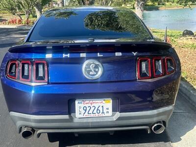 2010 Ford Mustang Shelby GT500   - Photo 6 - San Jose, CA 95131