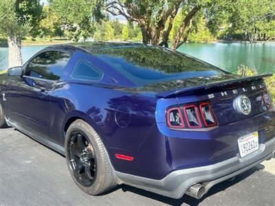 2010 Ford Mustang Shelby GT500   - Photo 5 - San Jose, CA 95131