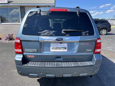 2010 Ford Escape Limited AWD   - Photo 6 - Escanaba, MI 49829