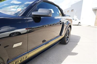 2007 Ford Mustang GT Shelby HERTZ   - Photo 6 - San J Uan, TX 78589