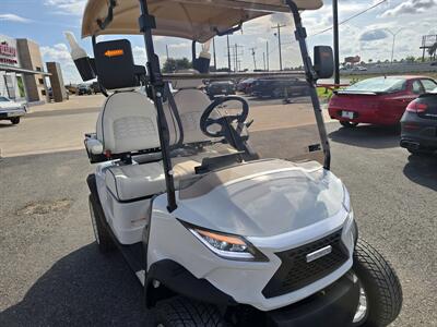 2025 VENOM STRIKE 2 SEATER   - Photo 24 - San Juan, TX 78589