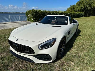 2018 Mercedes-Benz AMG GT Roadster   - Photo 14 - Roslyn, NY 11576