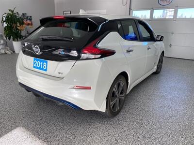 2018 Nissan Leaf SV Tech Package One Owner 22800 km's Snow Tires   - Photo 9 - Coombs, BC V0R 1M0