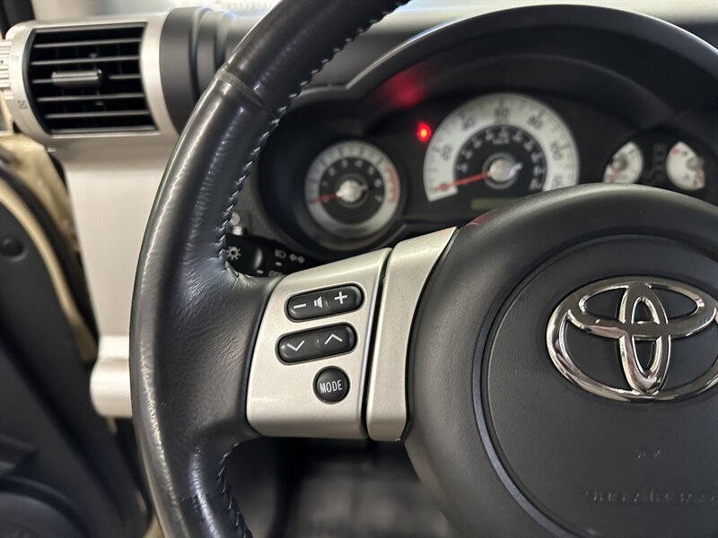 2010 Toyota FJ Cruiser photo