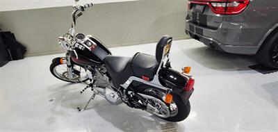 2001 Harley-Davidson Custom FXSTI   - Photo 23 - Plainfield, IN 46168