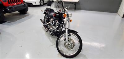 2001 Harley-Davidson Custom FXSTI   - Photo 29 - Plainfield, IN 46168