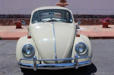 1966 Volkswagen Beetle   - Photo 9 - San Luis Obispo, CA 93401