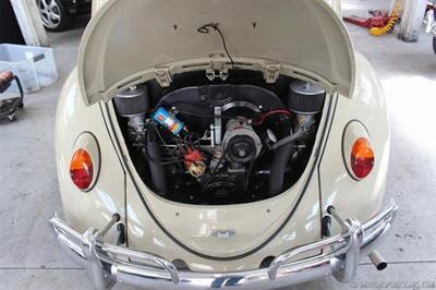 1966 Volkswagen Beetle   - Photo 24 - San Luis Obispo, CA 93401
