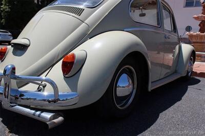 1966 Volkswagen Beetle   - Photo 8 - San Luis Obispo, CA 93401