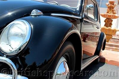 1960 Volkswagen Beetle   - Photo 12 - San Luis Obispo, CA 93401