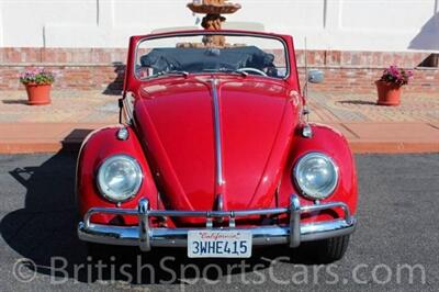 1962 Volkswagen Beetle Convertible   - Photo 10 - San Luis Obispo, CA 93401