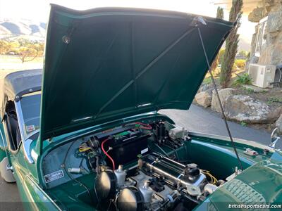 1959 Triumph TR3   - Photo 33 - San Luis Obispo, CA 93401