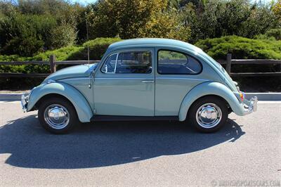 1966 Volkswagen Beetle   - Photo 6 - San Luis Obispo, CA 93401