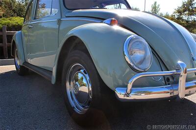 1966 Volkswagen Beetle   - Photo 9 - San Luis Obispo, CA 93401
