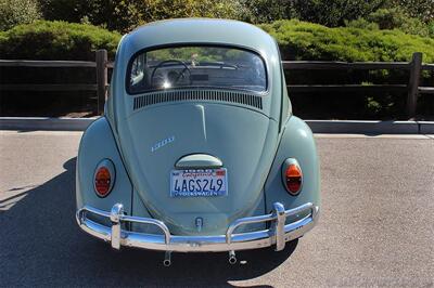 1966 Volkswagen Beetle   - Photo 12 - San Luis Obispo, CA 93401