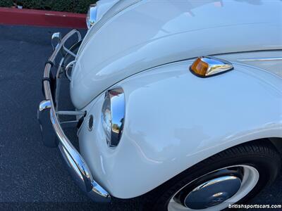 1967 Volkswagen Beetle-Classic   - Photo 99 - San Luis Obispo, CA 93401