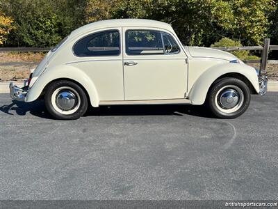 1967 Volkswagen Beetle-Classic   - Photo 5 - San Luis Obispo, CA 93401
