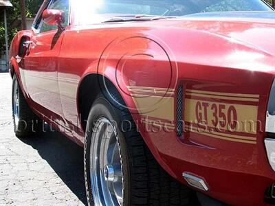1970 Shelby GT 350   - Photo 8 - San Luis Obispo, CA 93401